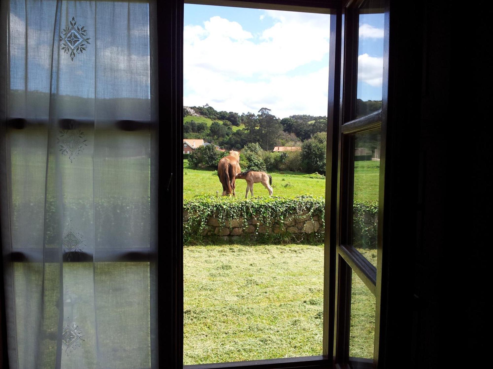 Posada La Roblera Orena Exteriör bild